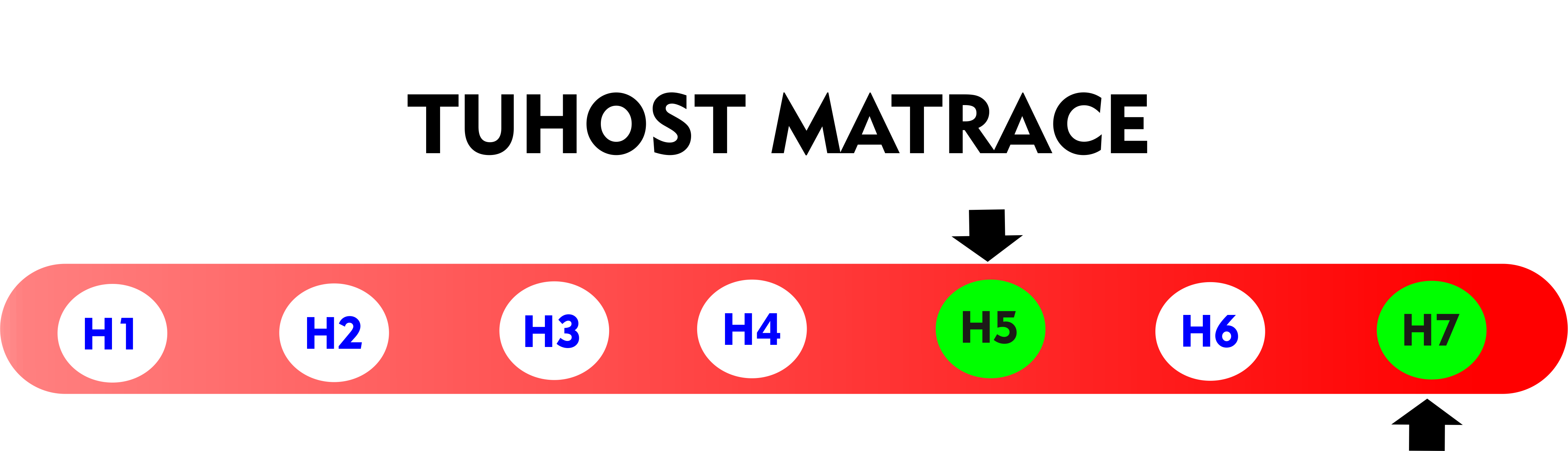 TUHOST H5 H7 (1)